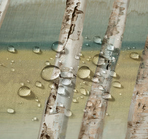 Birches Of Autumn Shower Curtain