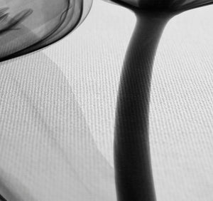 Monochromatic Black Tulips Shower Curtain