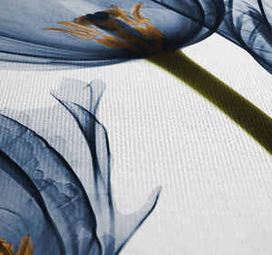 Blue Tulip Trio X-Ray Flowers Shower Curtain