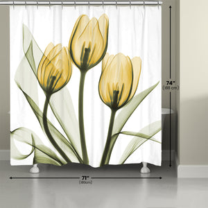 Golden X-Ray Tulips Shower Curtain