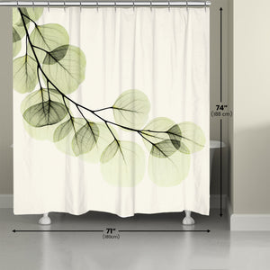 Green X-Ray of Eucalyptus Leaves Shower Curtain