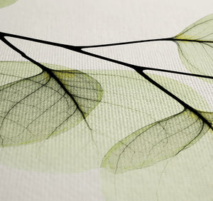 Green X-Ray of Eucalyptus Leaves Shower Curtain