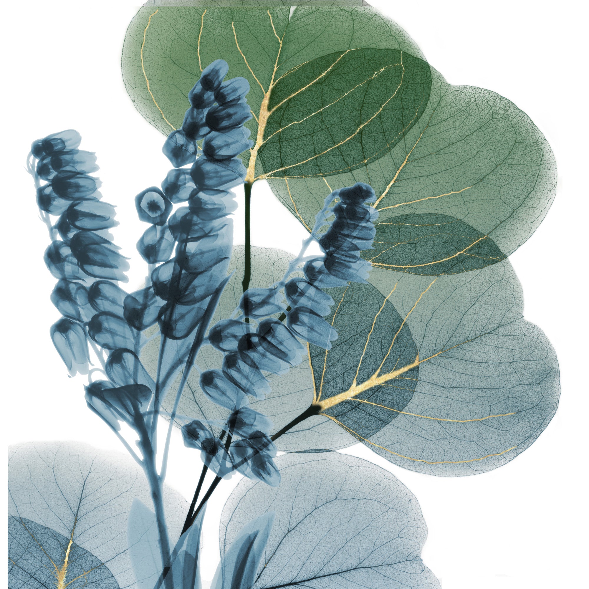 Lily and Eucalyptus Leaf X-Ray Shower Curtain 