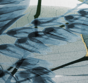 Lily and Eucalyptus Leaf X-Ray Shower Curtain