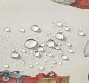 North Pole Express Shower Curtain