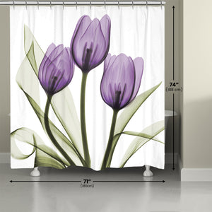 Purple X-ray Tulips Shower Curtain