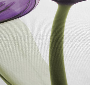 Purple X-ray Tulips Shower Curtain