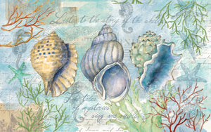 Sketchbook Shells Anti-Fatigue Kitchen Mat