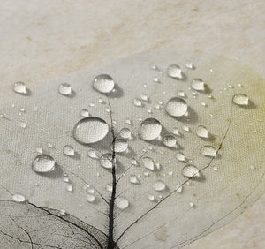 Smoky X-Ray of Eucalyptus Leaves Shower Curtain