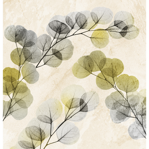 Smoky X-Ray of Eucalyptus Leaves Shower Curtain