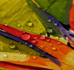 Tropical Bird of Paradise Shower Curtain