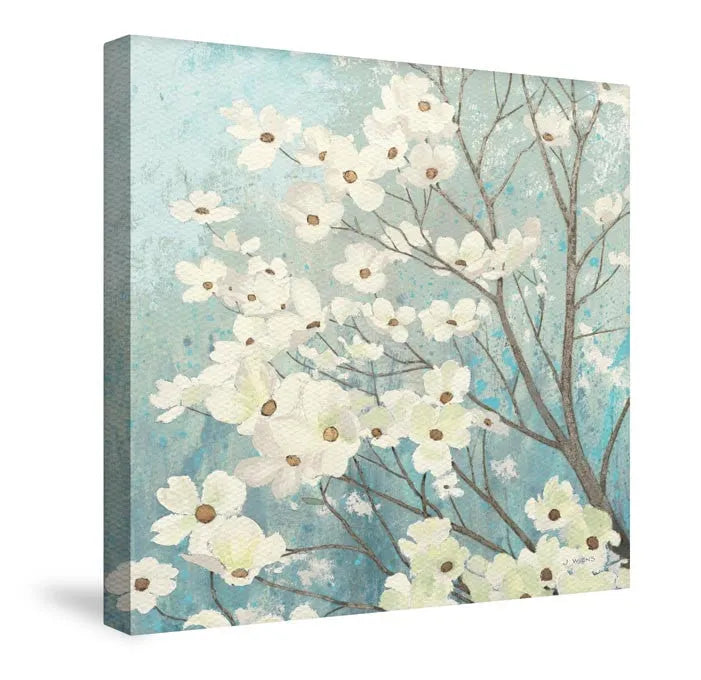Dogwood Blossoms I Canvas Wall Art 