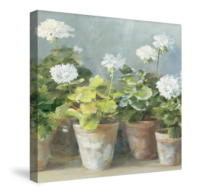 White Geraniums Canvas Wall Art 