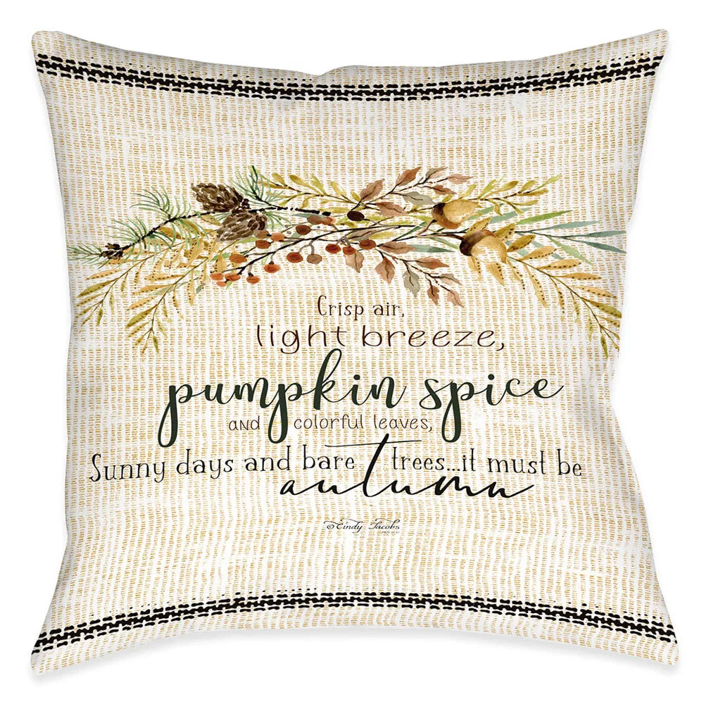 Crisp Air Indoor Decorative Pillow
