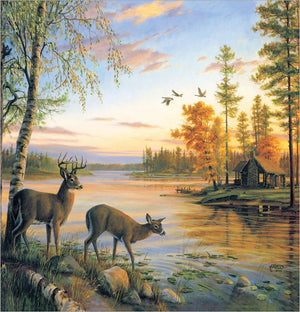 Deer on Sunset Lake Shower Curtain