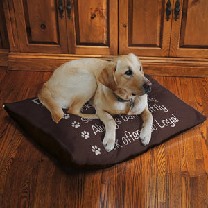 Dog Rules 30" x 40" Fleece Dog Bed features the perfect dog mantra set on a rich brown background.
