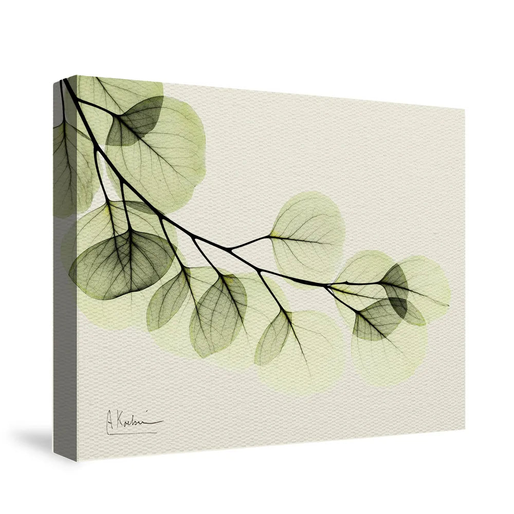 Eucalyptus Canvas Wall Art 