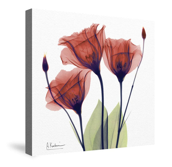 Red Gentian X-Ray Flowers Canvas Wall Art - Laural Home