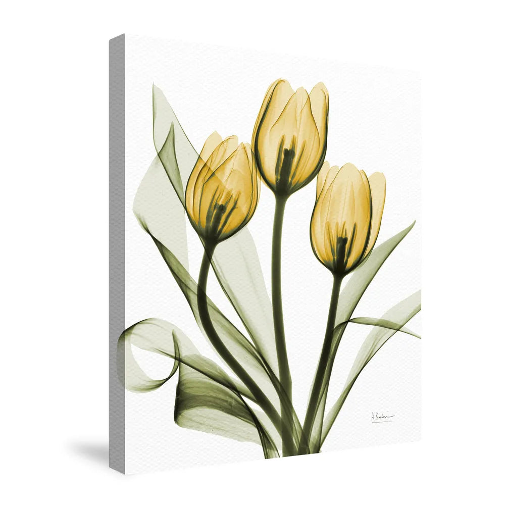 Golden X-Ray Tulips Canvas Wall Art 