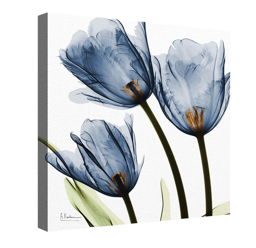 The "Blue Tulip Canvas Wall Art" exposes calming, beautiful floral image with a special technique using an x-ray machine and a cluster of flowers.